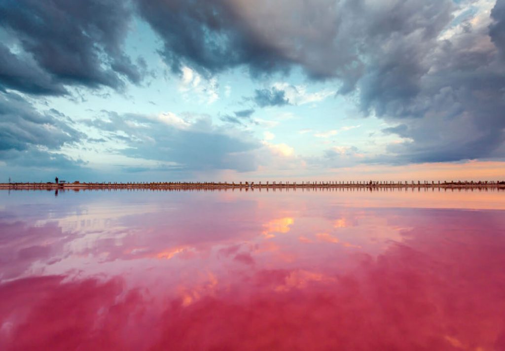 sivash-lake-crimea-5