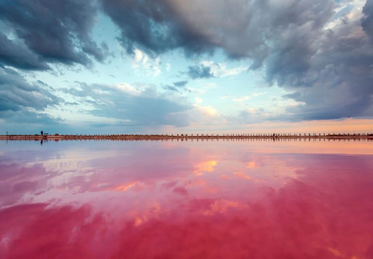sivash-lake-crimea-5