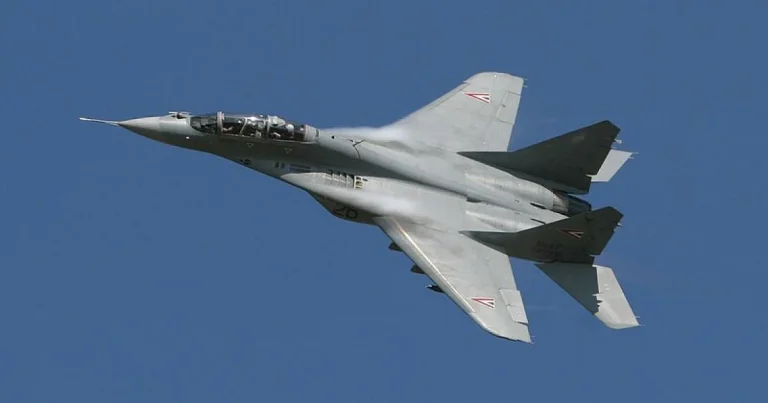 винищувачі
